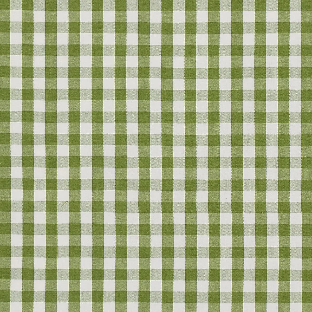 Schumacher 63071 Elton Cotton Check Leaf fabric swatch
