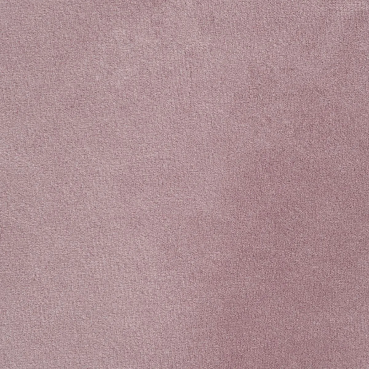 Schumacher 74113 Empress Performance Velvet Thistle fabric swatch