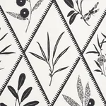 Schumacher 177643 Endimione Carbon fabric swatch