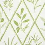 Schumacher 177641 Endimione Leaf fabric swatch