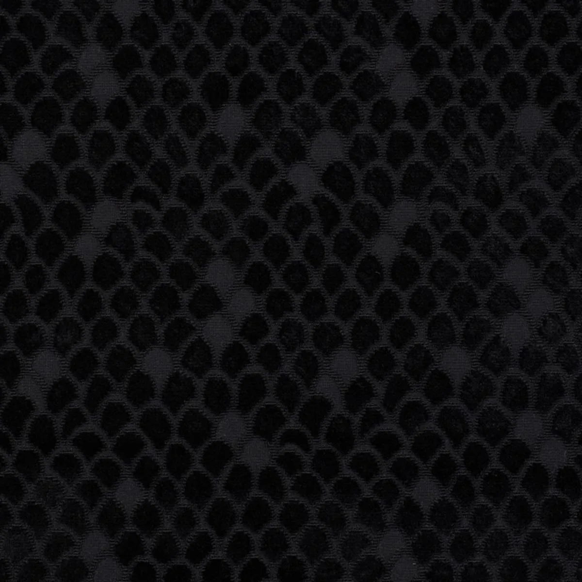 Schumacher 72773 Esther Velvet Onyx fabric swatch