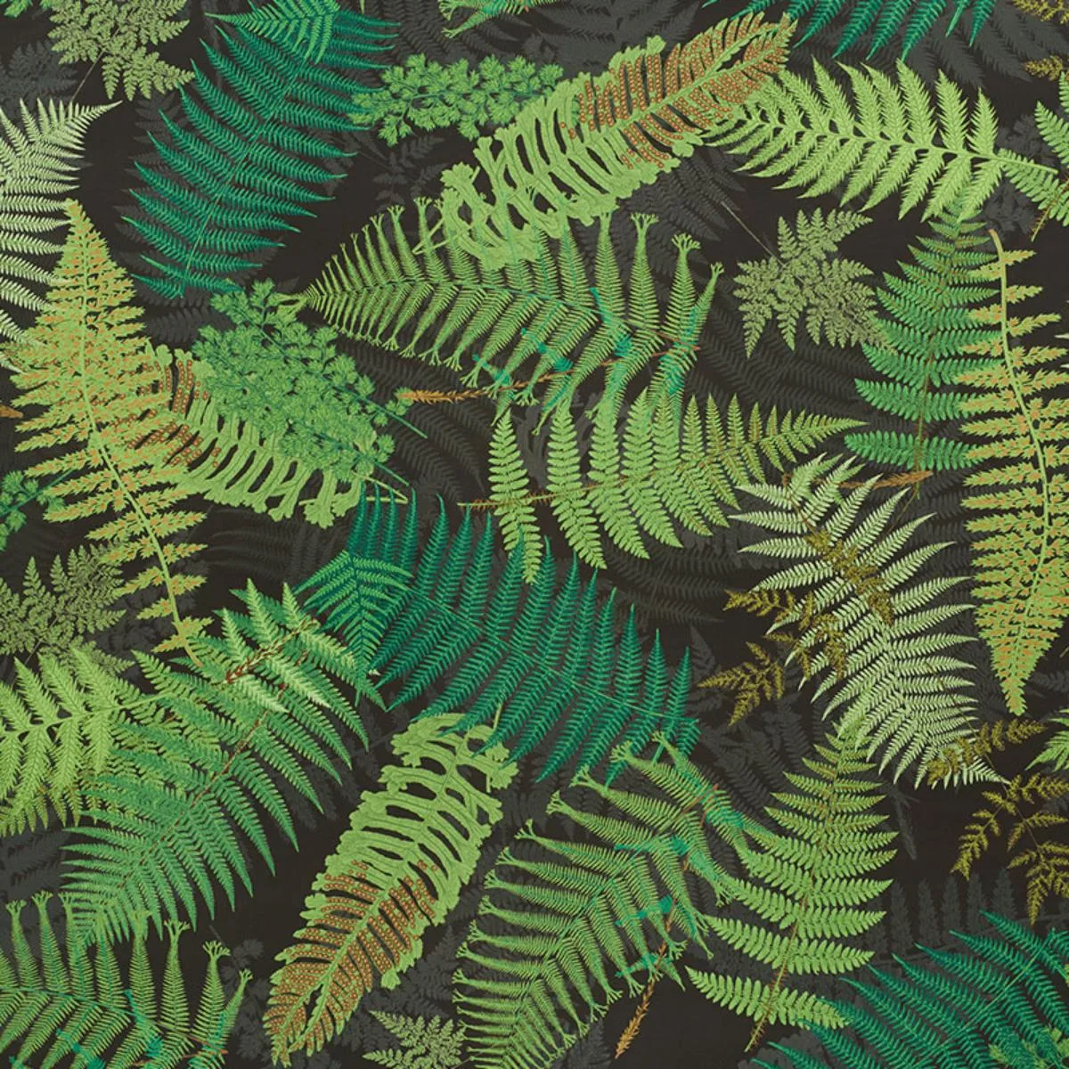 Schumacher 177591 Fernarium Green & Black fabric swatch