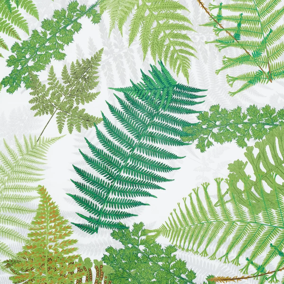 Schumacher 177590 Fernarium Green & Ivory fabric swatch