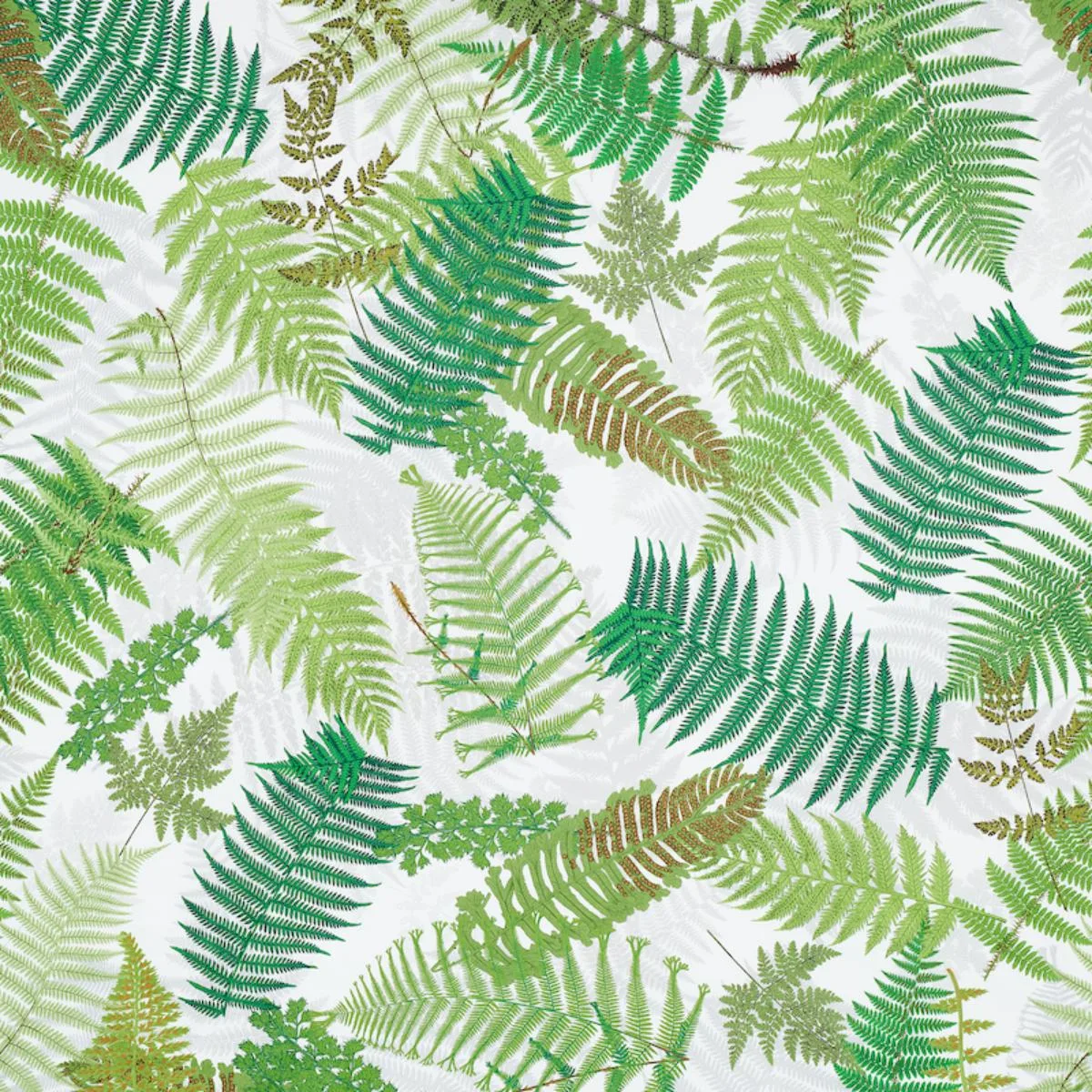 Schumacher 177590 Fernarium Green & Ivory fabric swatch