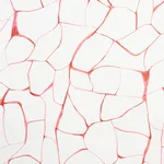 Schumacher 177921 Filigree Coral fabric swatch