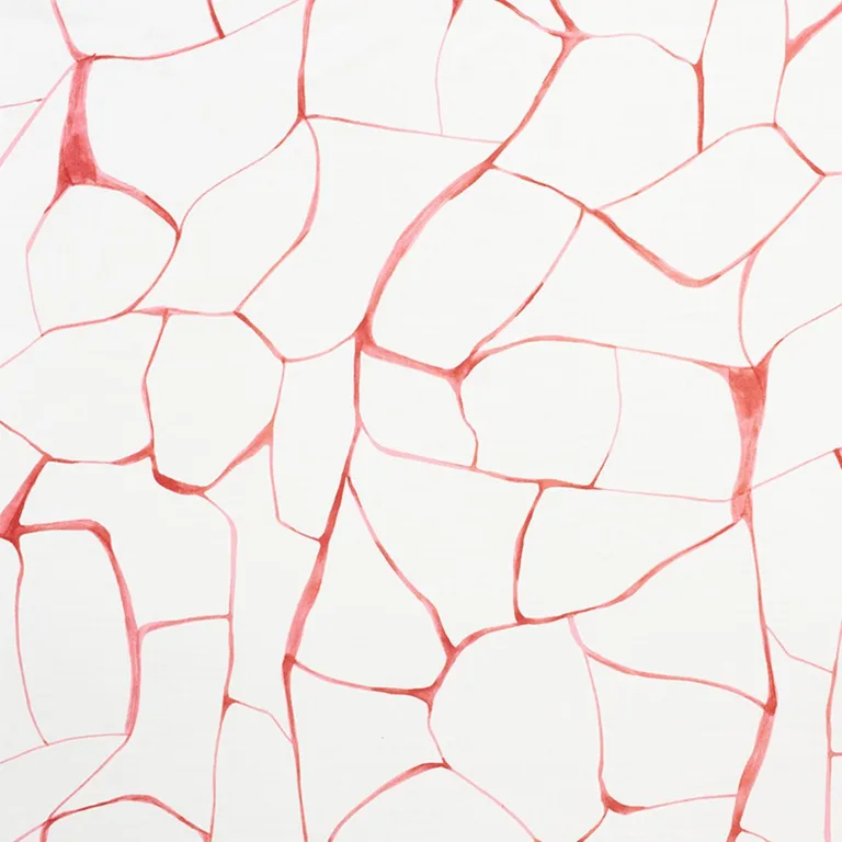 Schumacher 177921 Filigree Coral fabric swatch