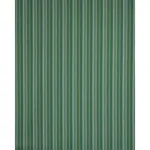 Schumacher 81071 Fino Stripe Indoor/Outdoor Green fabric swatch