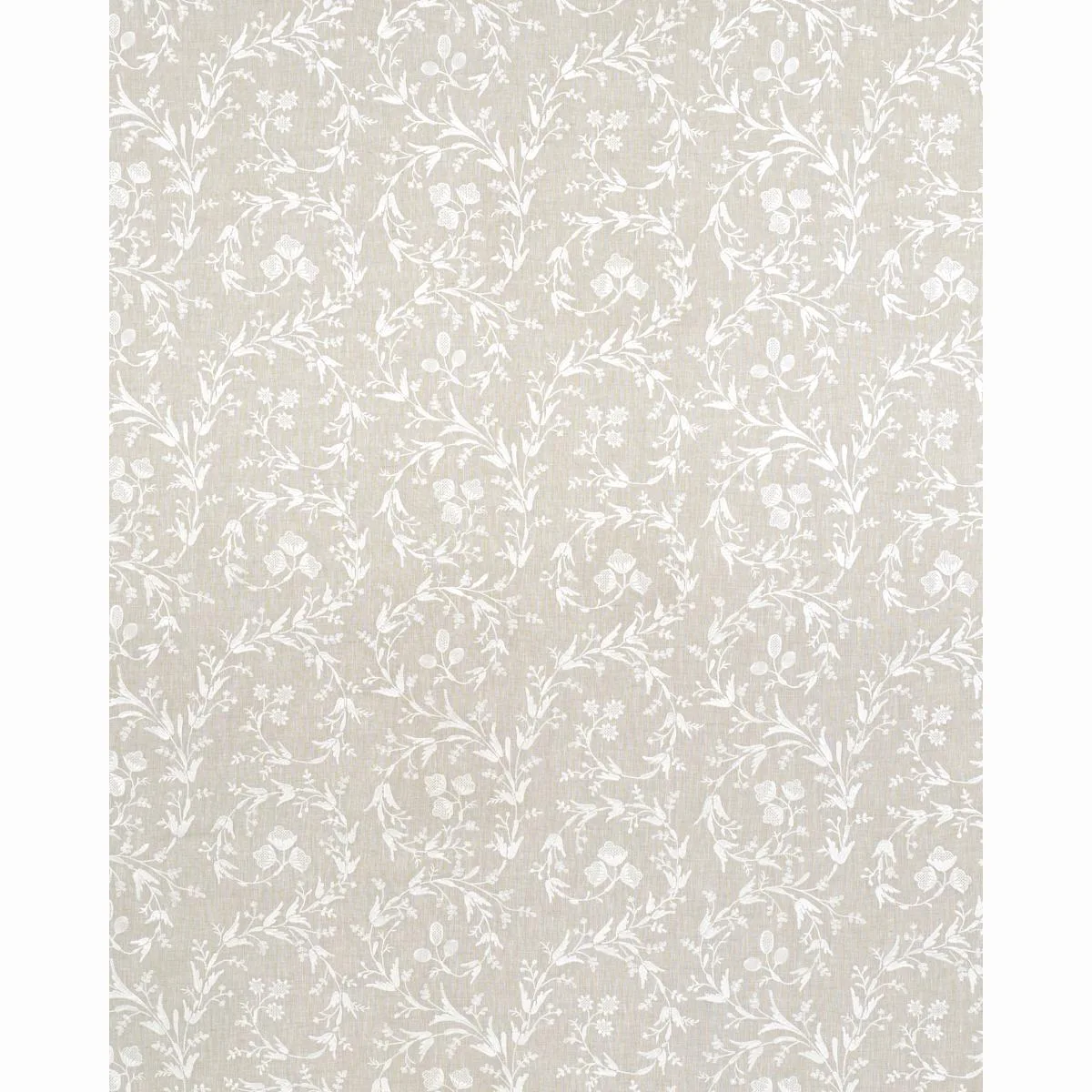 Schumacher 67821 Fiorentina Embroidered Sheer Oat fabric swatch