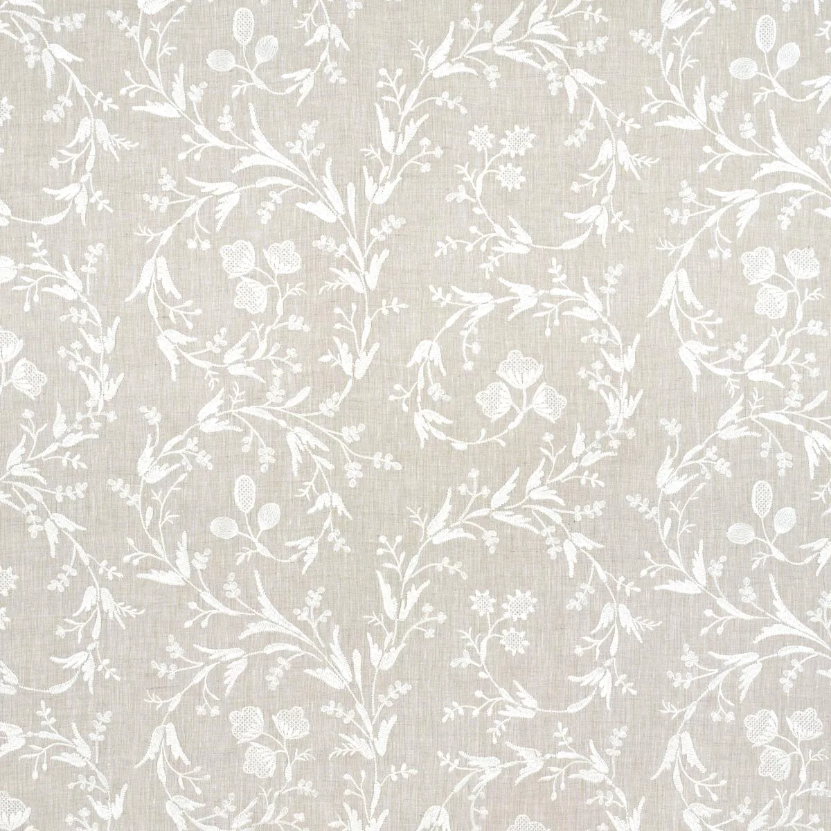Schumacher 67821 Fiorentina Embroidered Sheer Oat fabric swatch
