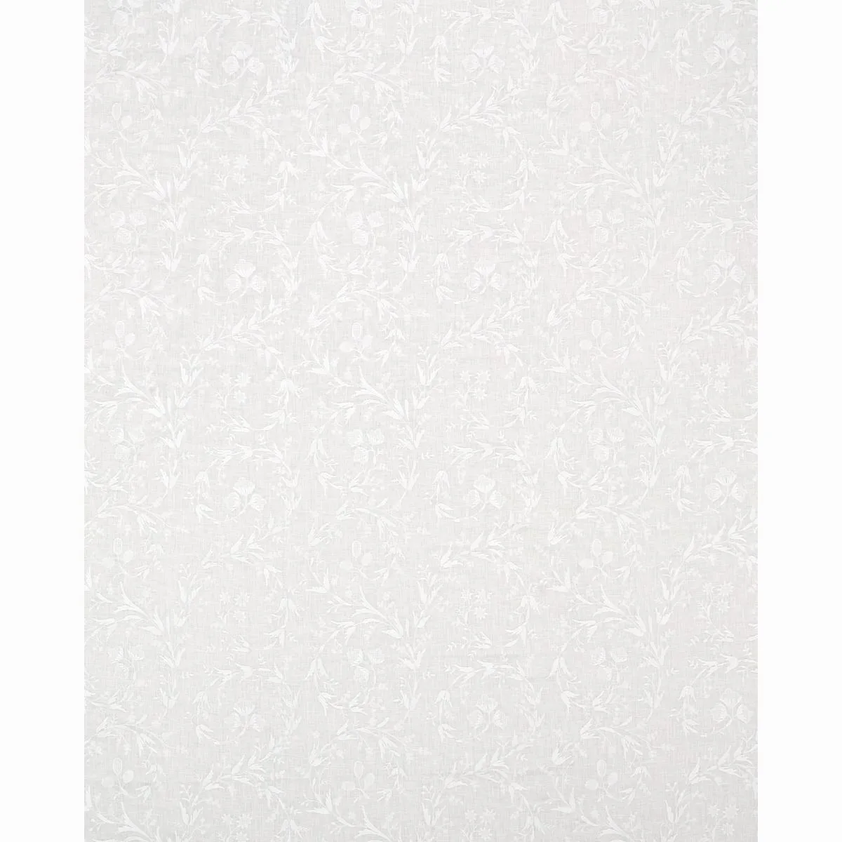 Schumacher 67820 Fiorentina Embroidery Ivory fabric swatch