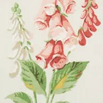 Schumacher 178791 Floreana Berry fabric swatch