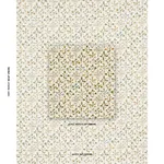 Schumacher 182161 Frances Floral Indoor/Outdoor Document fabric swatch