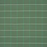 Schumacher 83783 Frannie Windowpane Green fabric swatch
