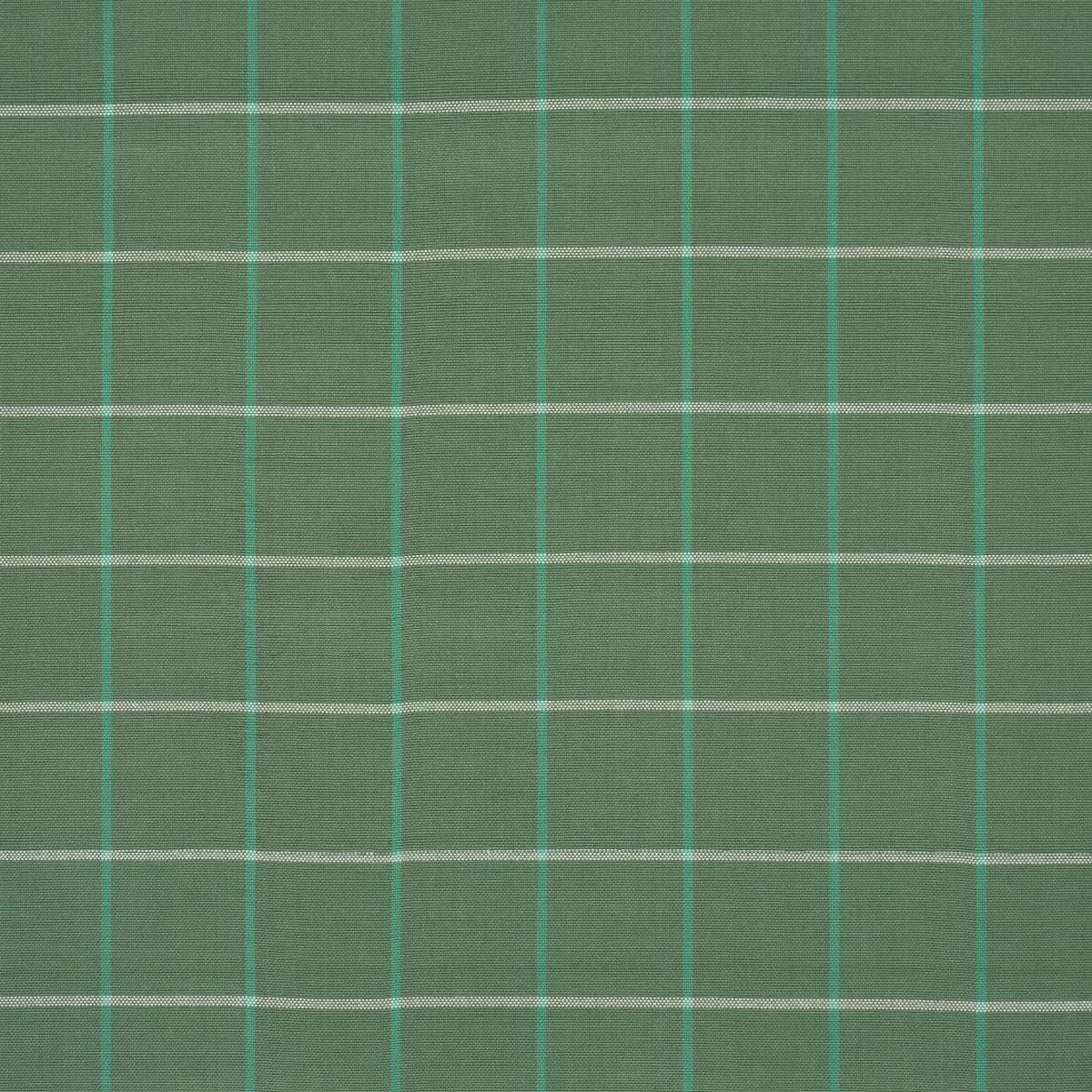 Schumacher 83783 Frannie Windowpane Green fabric swatch