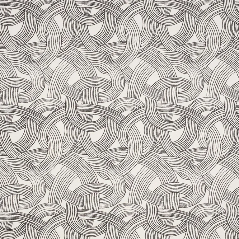 Schumacher 178711 Freeform Black fabric swatch