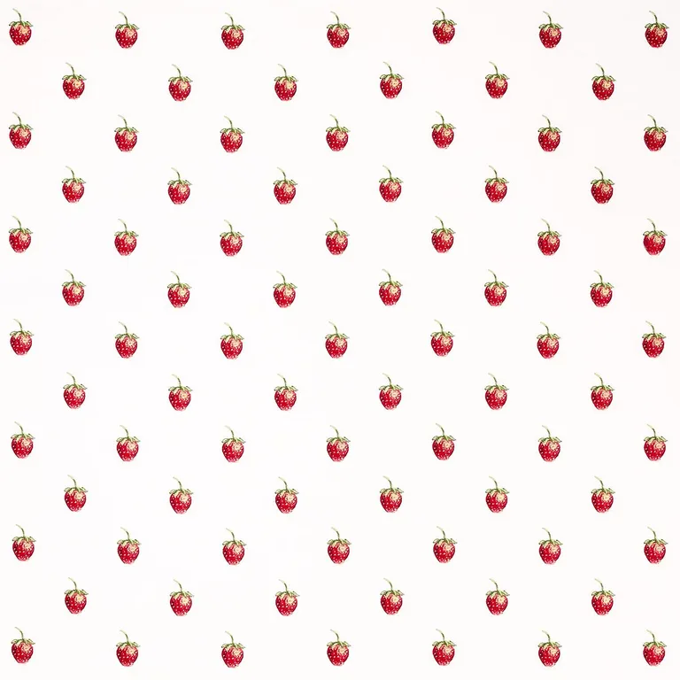 Schumacher 82280 Freshie Fresh Ivory fabric swatch