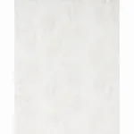 Schumacher 67700 Gabriella Embroidered Sheer Ivory fabric swatch