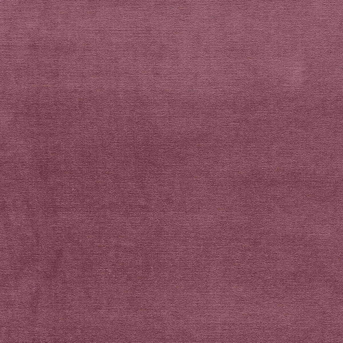 Schumacher 42730 Gainsborough Velvet Amethyst fabric swatch
