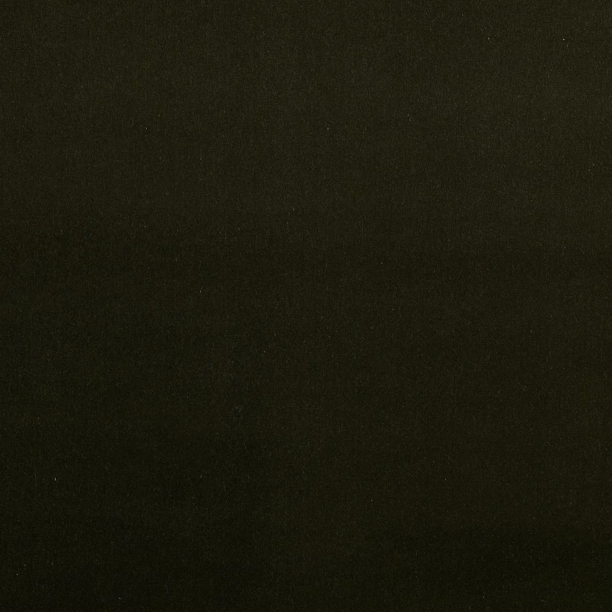 Schumacher 64558 Gainsborough Velvet Balsam fabric swatch