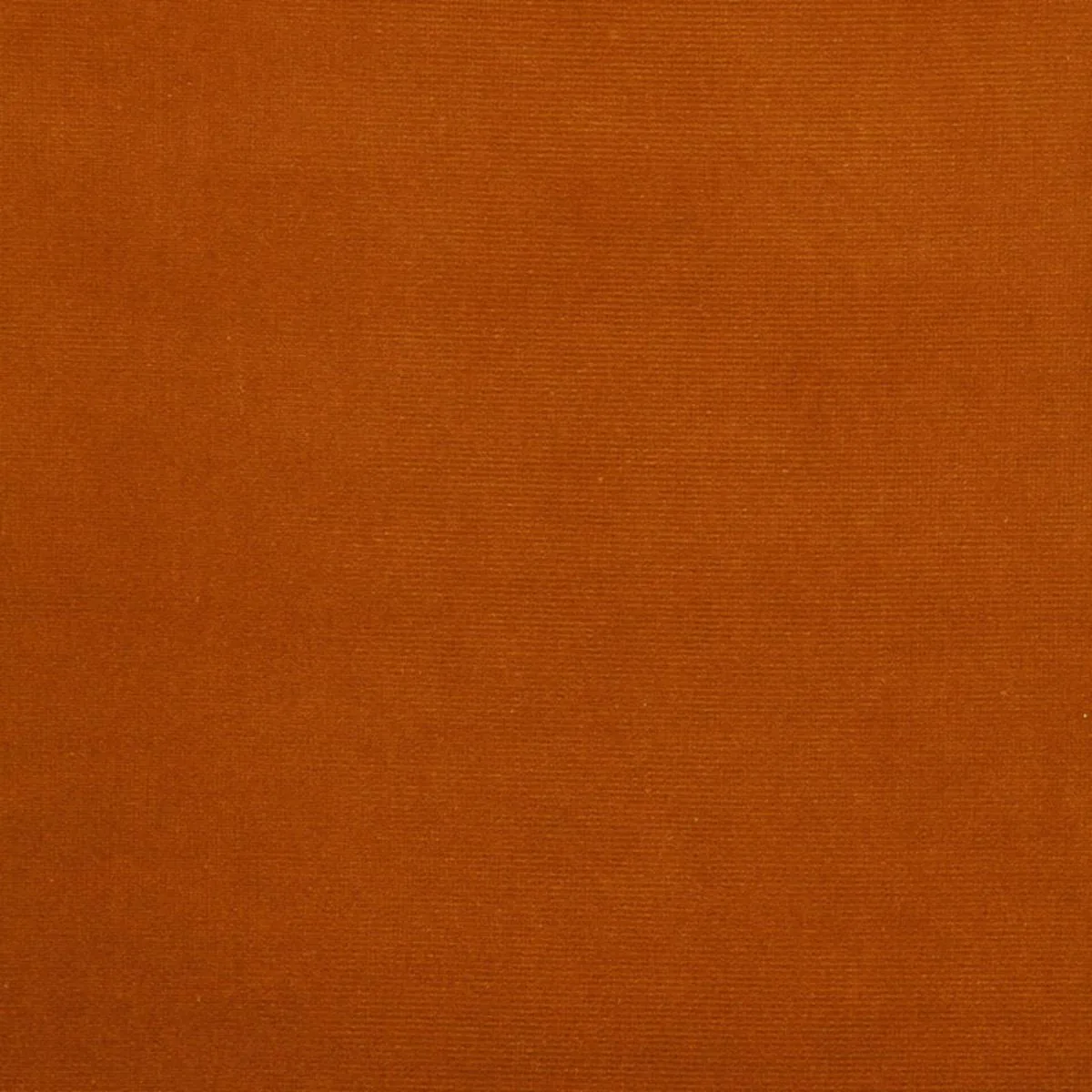 Schumacher 42851 Gainsborough Velvet Baroque fabric swatch