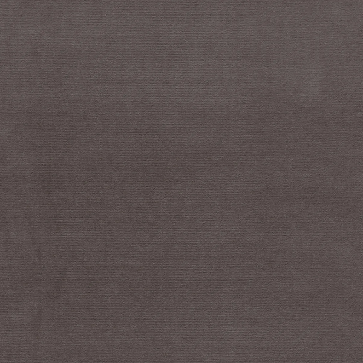 Schumacher 42769 Gainsborough Velvet Beaver fabric swatch
