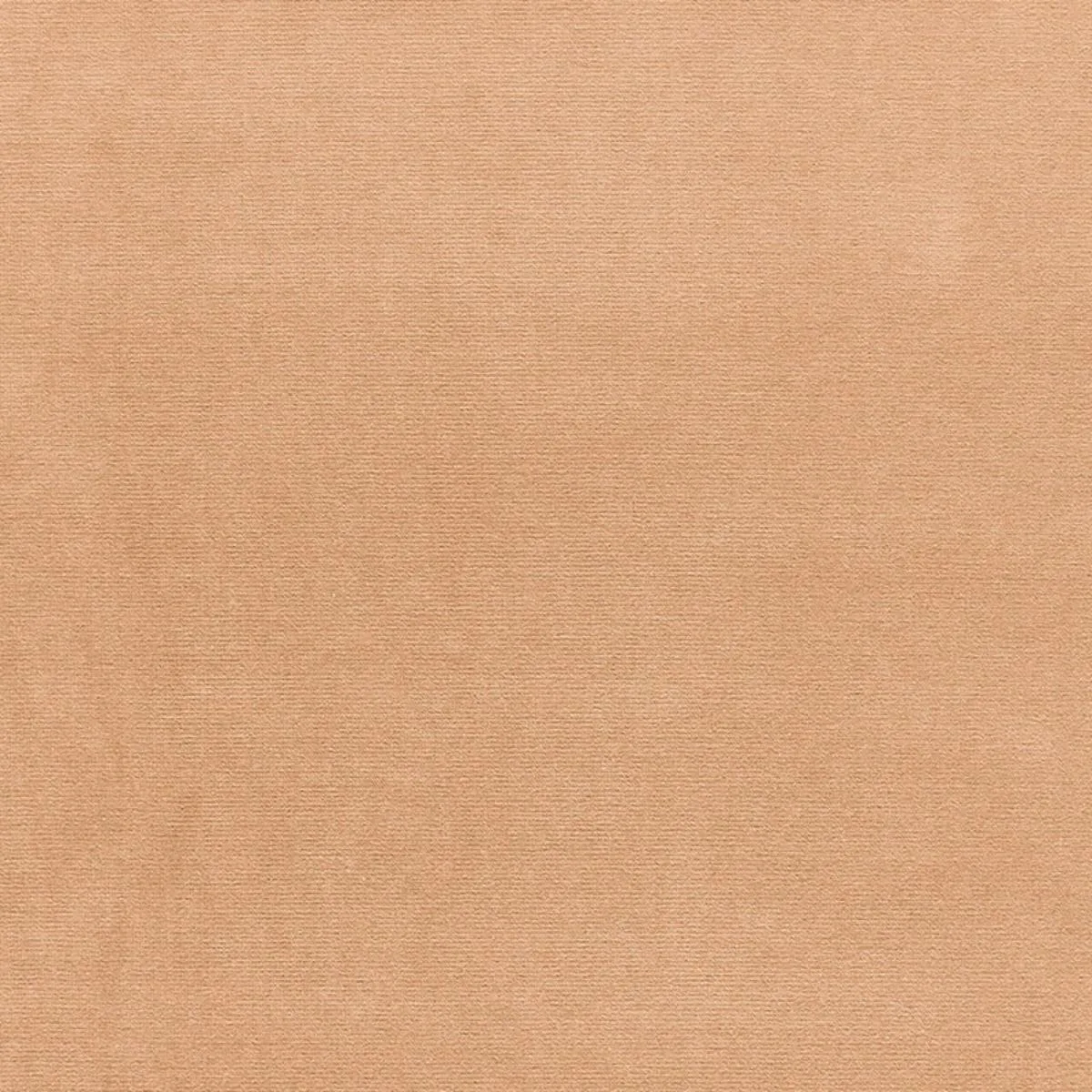 Schumacher 42701 Gainsborough Velvet Beige fabric swatch