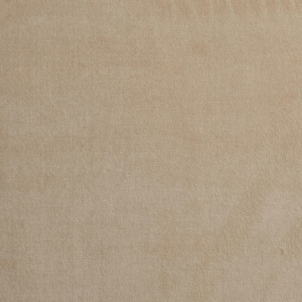 Schumacher 64529 Gainsborough Velvet Bisque fabric swatch