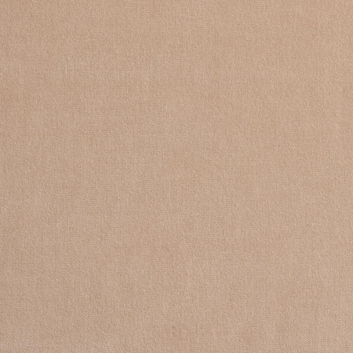 Schumacher 42780 Gainsborough Velvet Bone fabric swatch