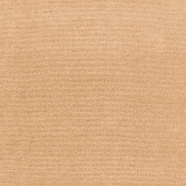 Schumacher 42785 Gainsborough Velvet Buff fabric swatch