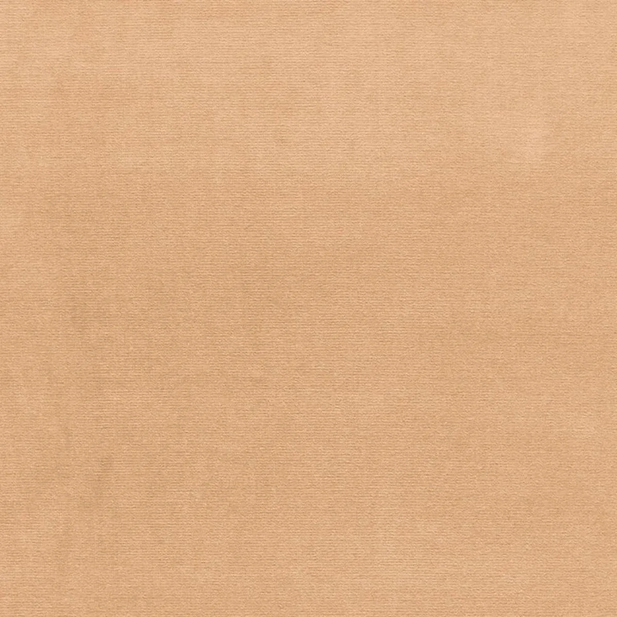 Schumacher 42785 Gainsborough Velvet Buff fabric swatch