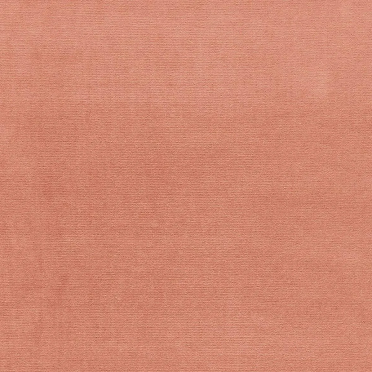 Schumacher 42786 Gainsborough Velvet Cameo fabric swatch