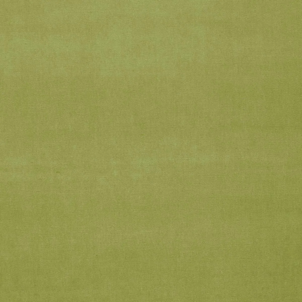 Schumacher 42864 Gainsborough Velvet Celery fabric swatch