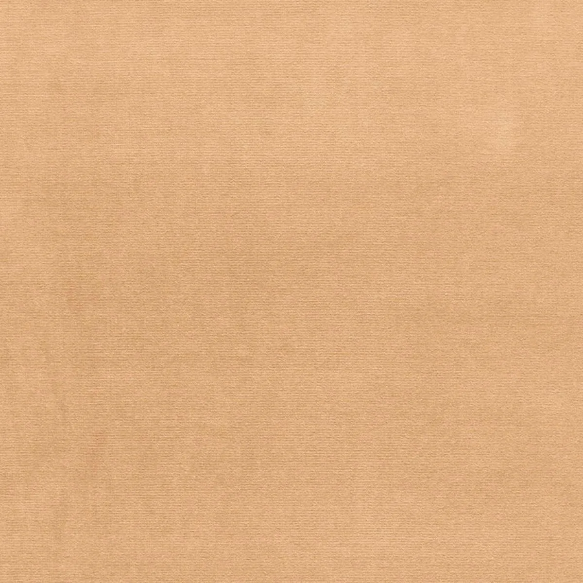Schumacher 42784 Gainsborough Velvet Chamois fabric swatch