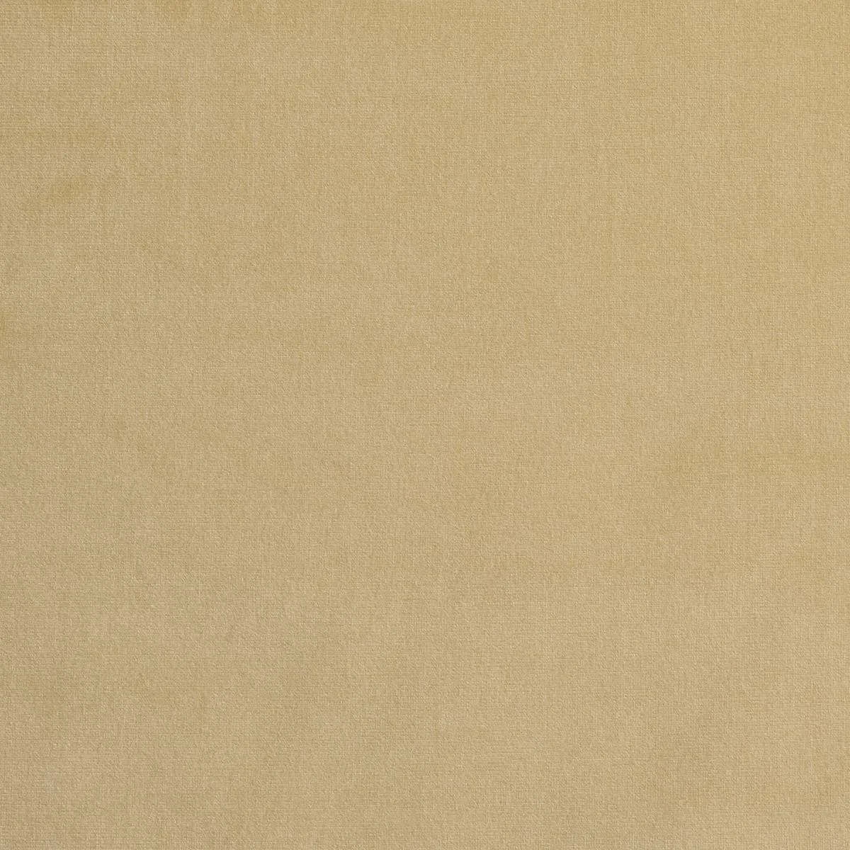 Schumacher 42782 Gainsborough Velvet Champagne fabric swatch