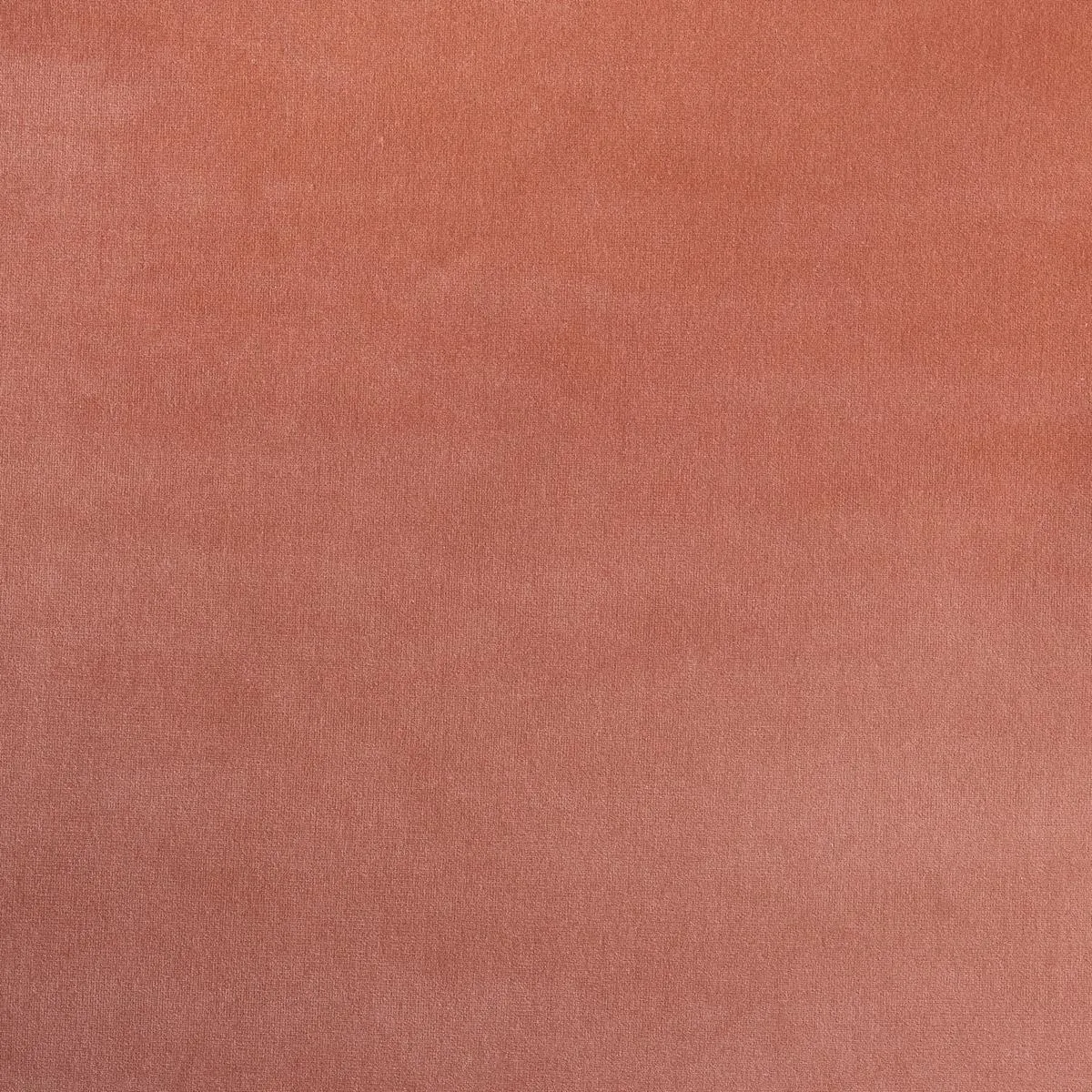 Schumacher 42706 Gainsborough Velvet Conch fabric swatch