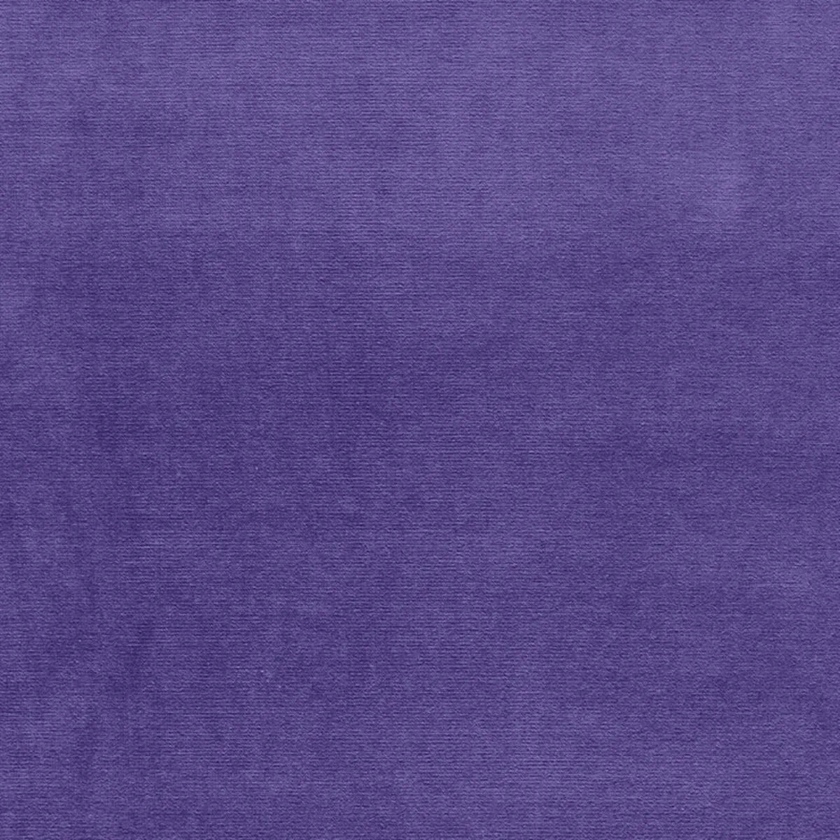 Schumacher 43253 Gainsborough Velvet Cosmos fabric swatch