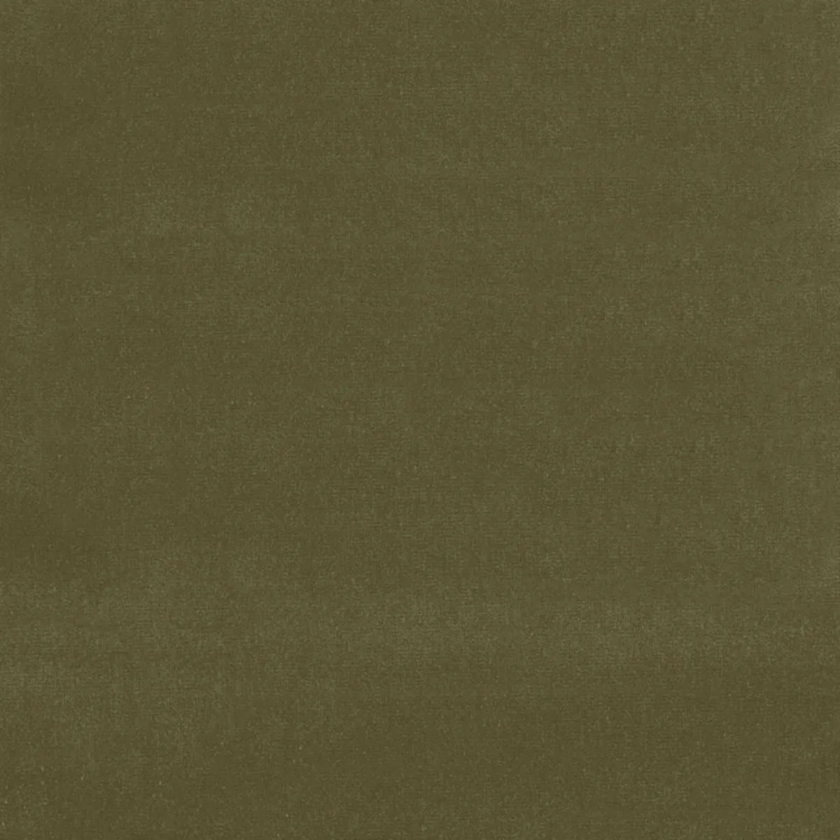 Schumacher 42867 Gainsborough Velvet Dark Olive fabric swatch