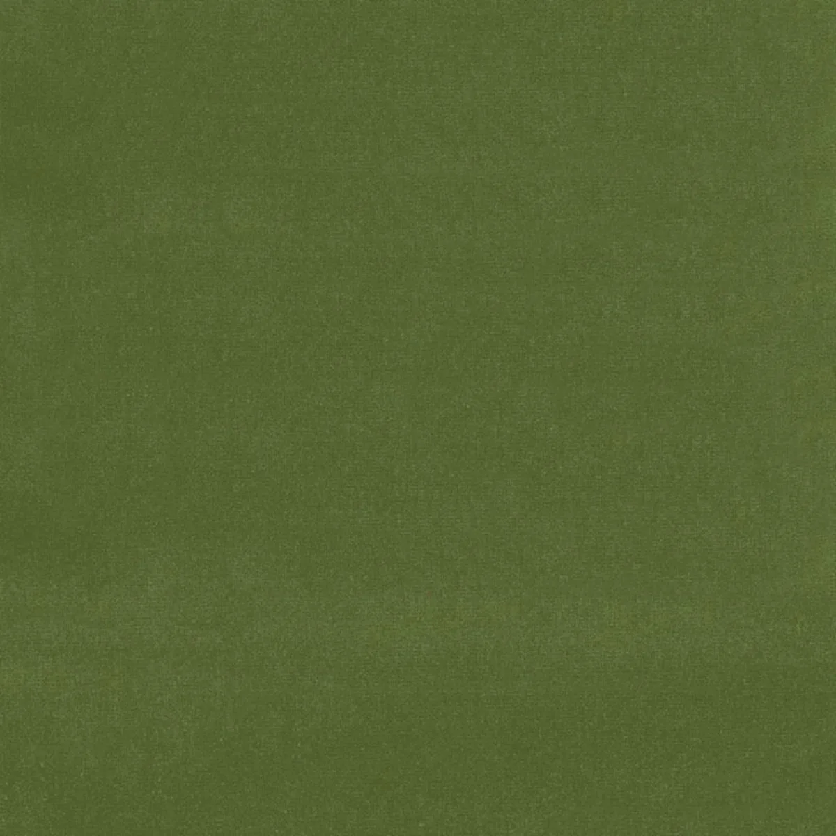 Schumacher 42869 Gainsborough Velvet Fern fabric swatch