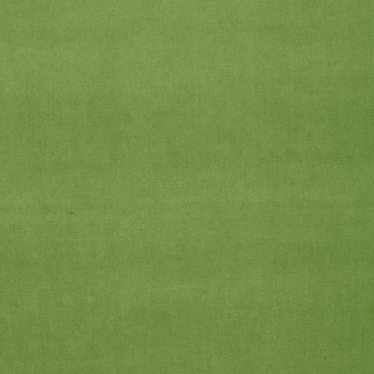 Schumacher 64576 Gainsborough Velvet Grass fabric swatch