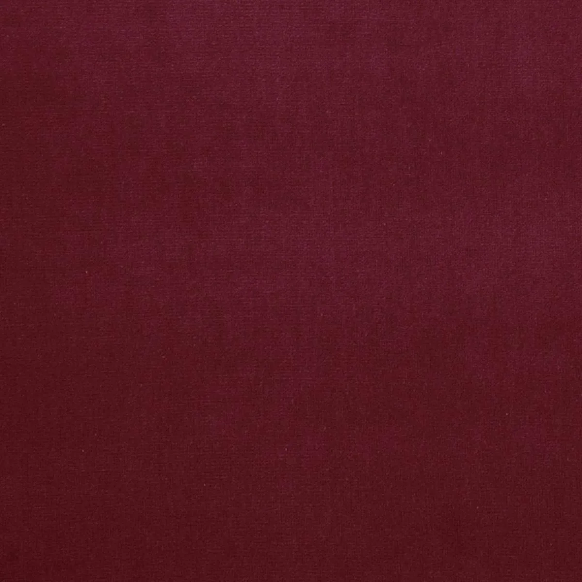 Schumacher 43252 Gainsborough Velvet Hollyberry fabric swatch