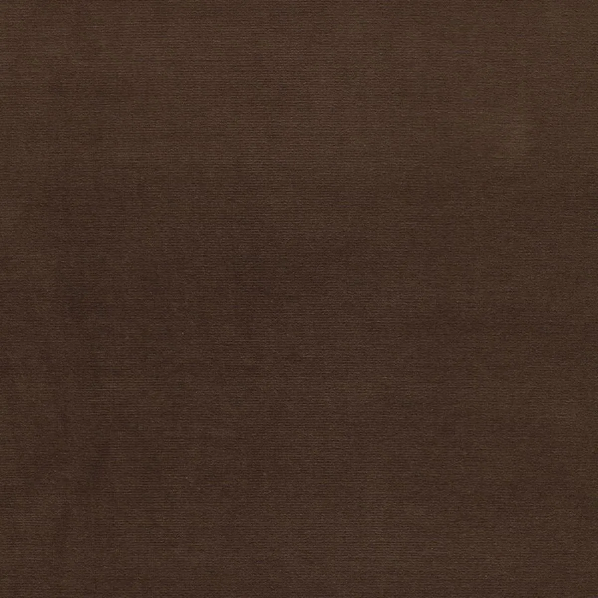 Schumacher 42888 Gainsborough Velvet Java fabric swatch