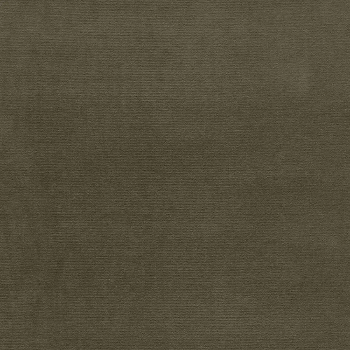 Schumacher 42866 Gainsborough Velvet Khaki fabric swatch