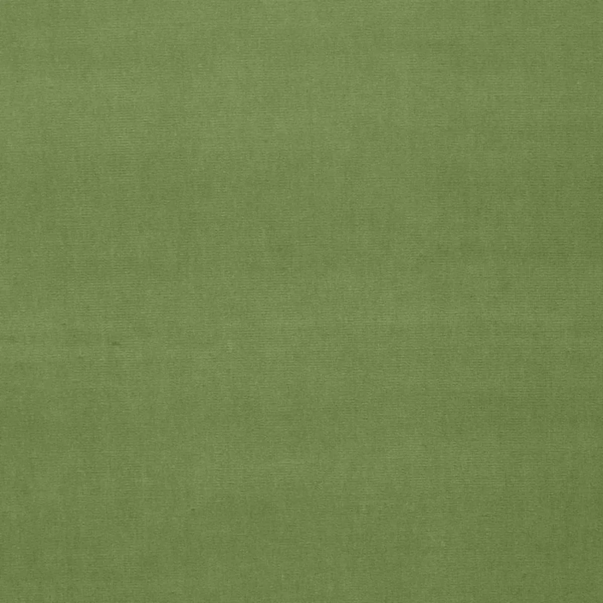 Schumacher 42878 Gainsborough Velvet Leaf fabric swatch