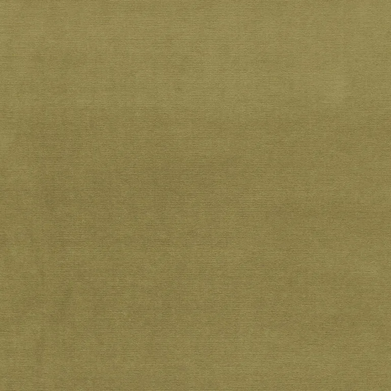 Schumacher 42858 Gainsborough Velvet Lichen fabric swatch