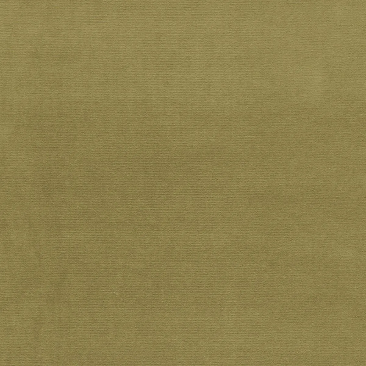 Schumacher 42858 Gainsborough Velvet Lichen fabric swatch