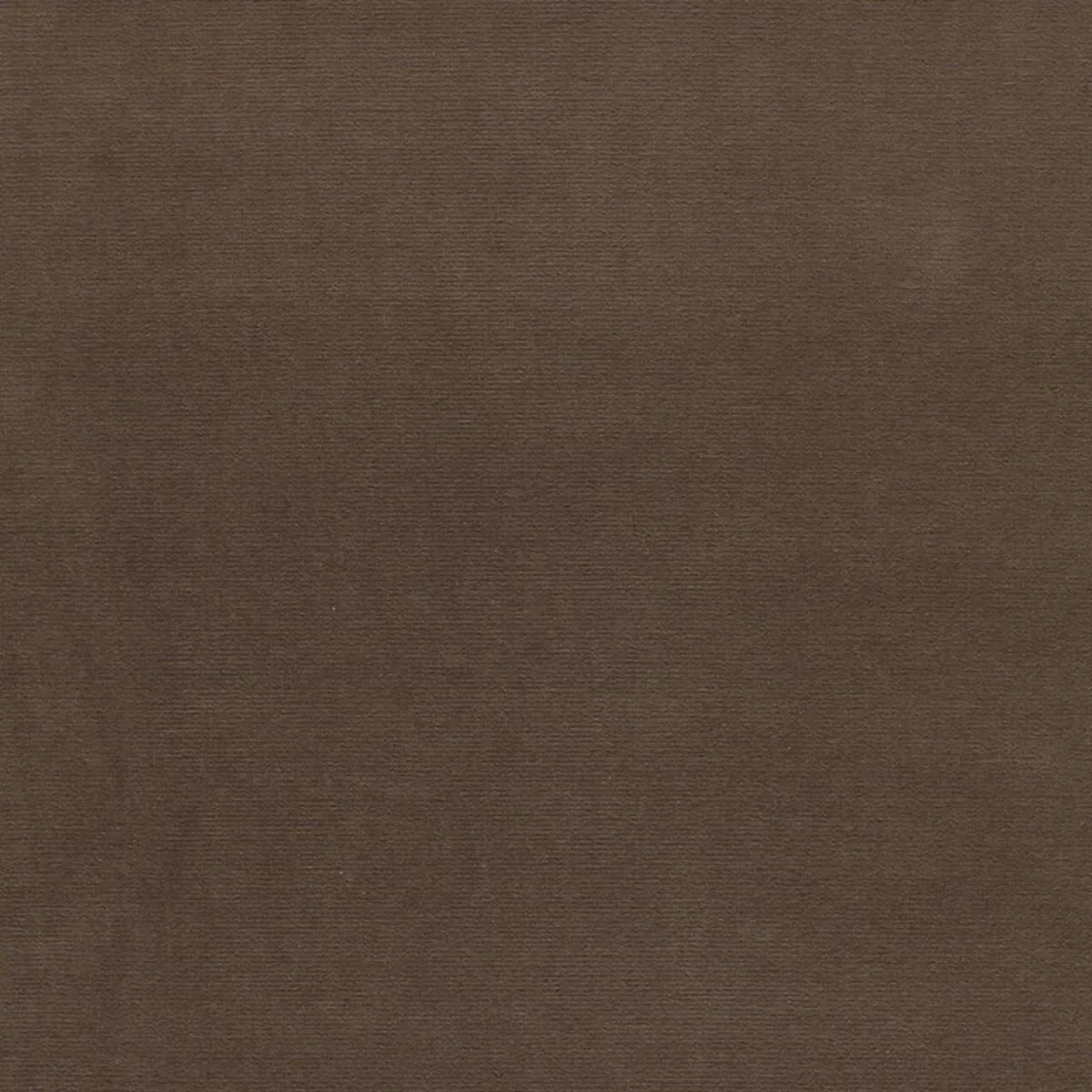 Schumacher 64527 Gainsborough Velvet Mink fabric swatch
