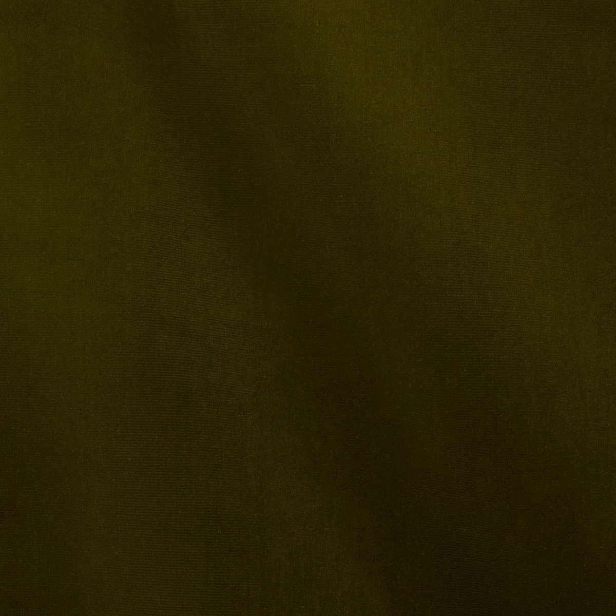 Schumacher 43260 Gainsborough Velvet Mistletoe fabric swatch