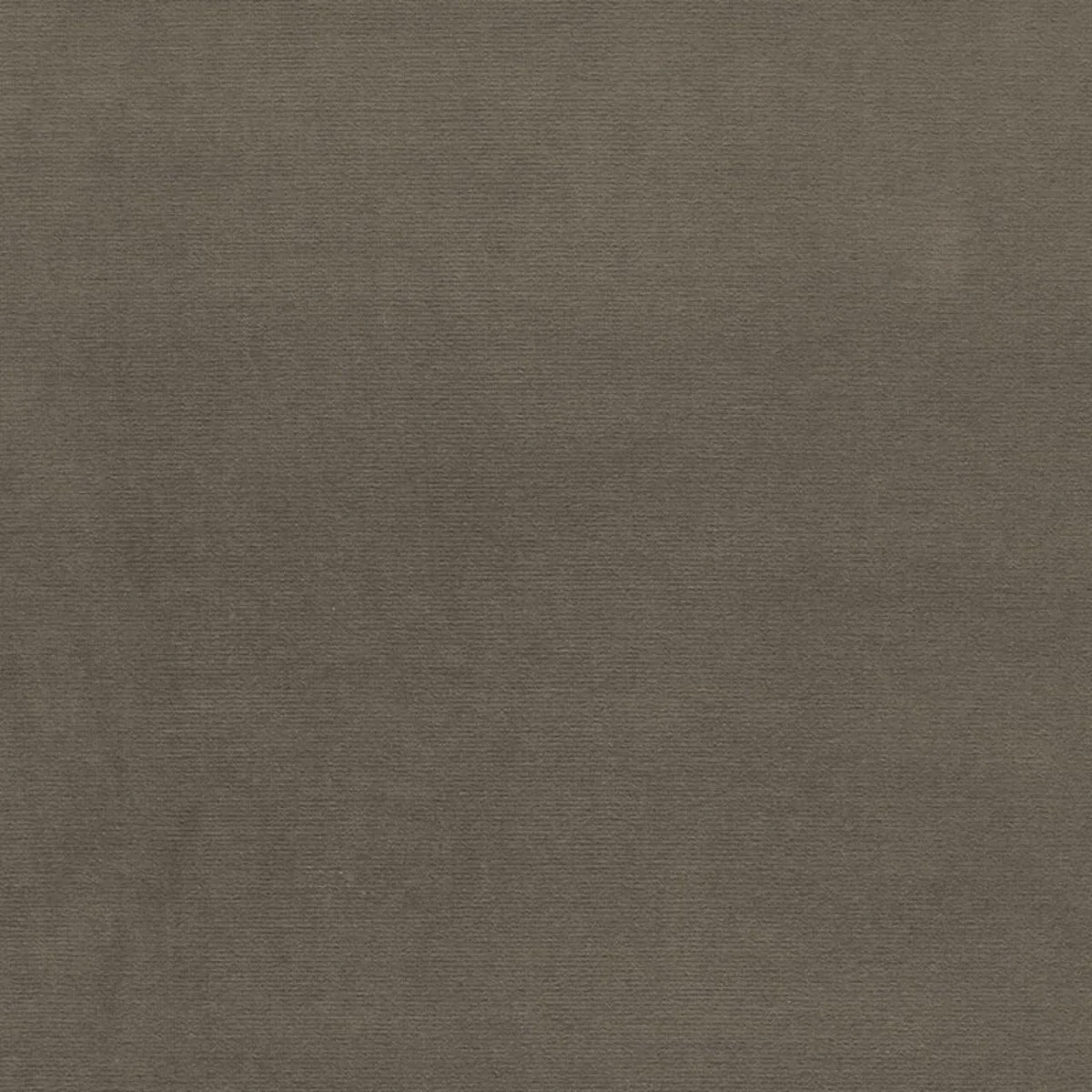 Schumacher 64534 Gainsborough Velvet Moleskin fabric swatch