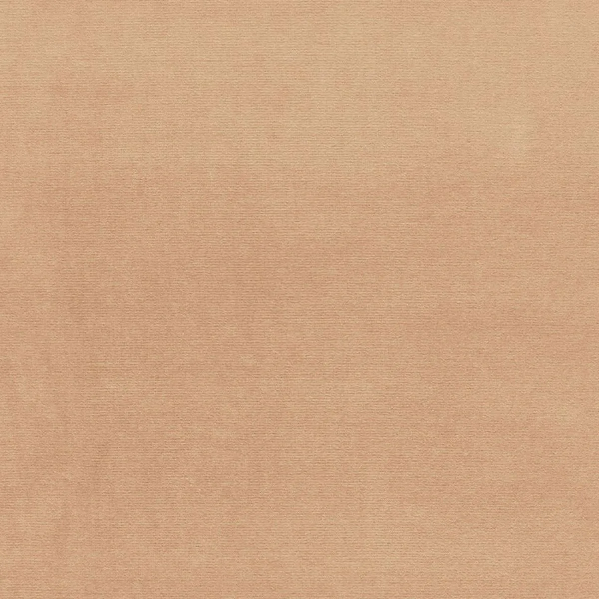 Schumacher 43245 Gainsborough Velvet Oatmeal fabric swatch
