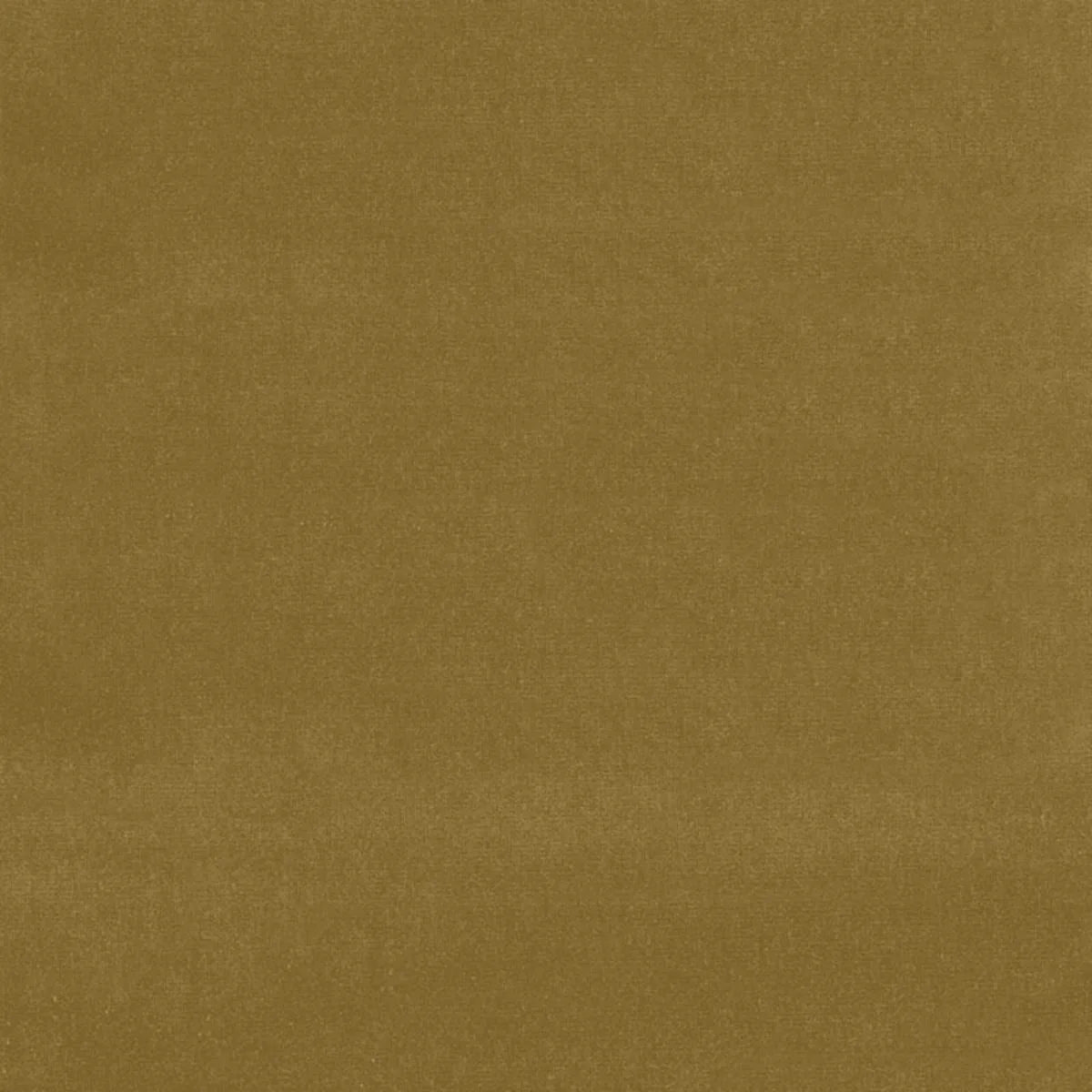 Schumacher 64559 Gainsborough Velvet Olivine fabric swatch